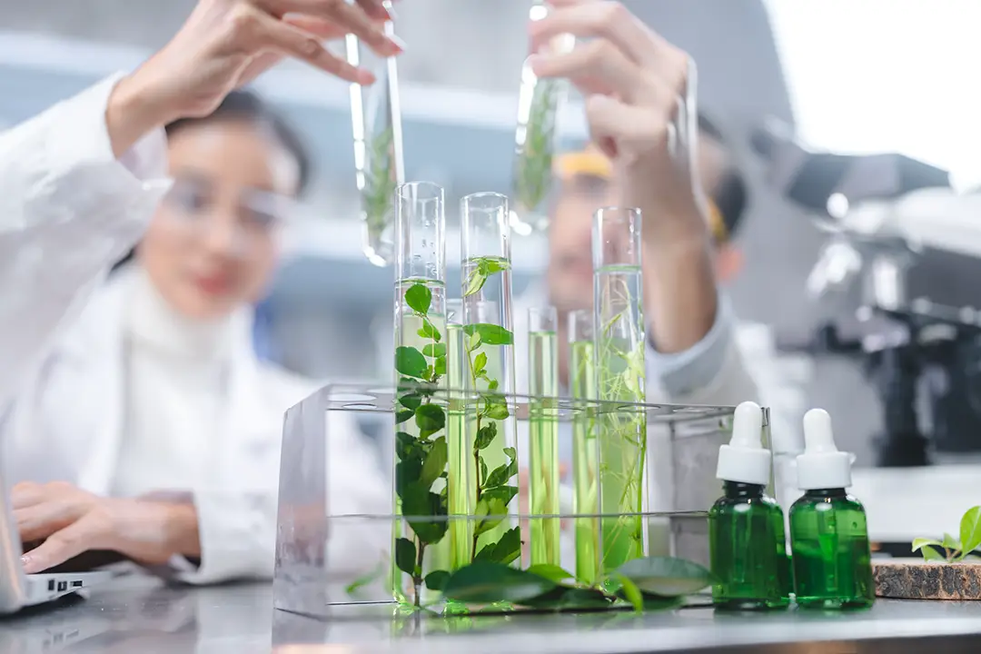 Wissenschaft & Forschung